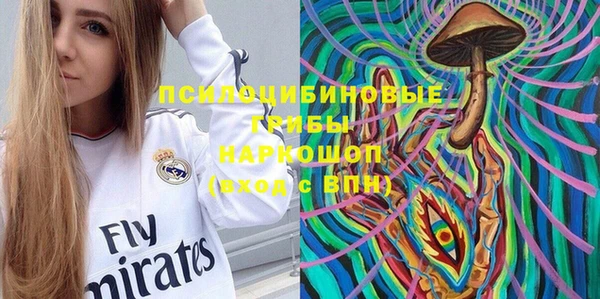 прущие крисы Алзамай