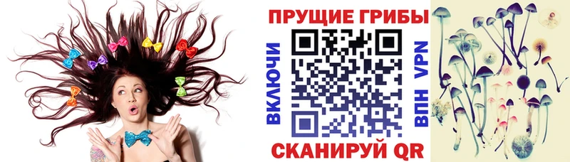 Псилоцибиновые грибы Cubensis  как найти закладки  МЕГА онион  Ковров 